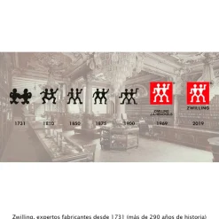 Batidora de mano 9 velocidades con vaso Fresh&Save Zwilling