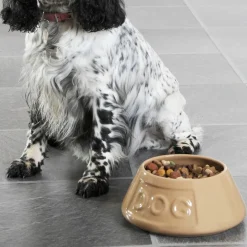 Bol cerámico antivuelco para mascotas Cane Mason Cash