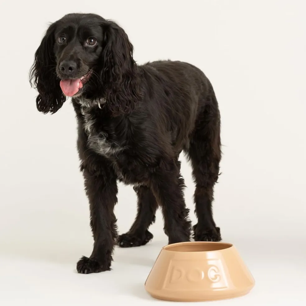 Bol cerámico antivuelco para mascotas Cane Mason Cash