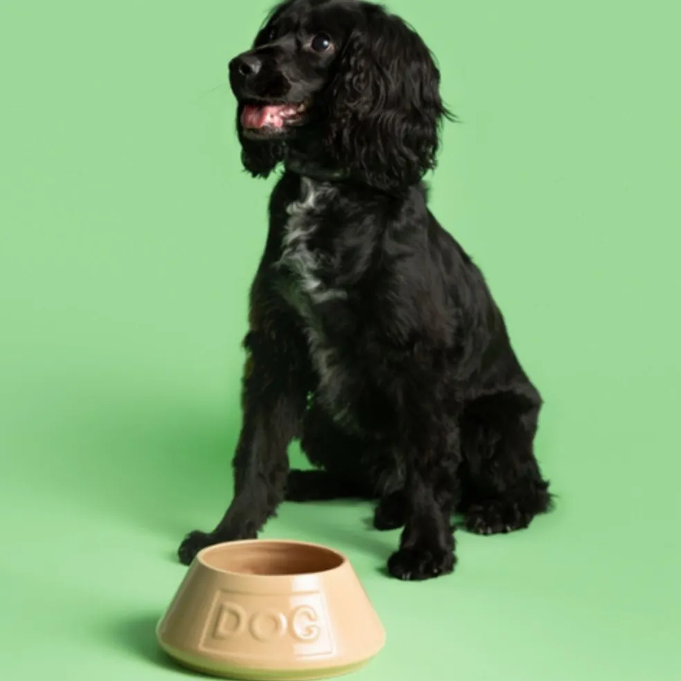 Bol cerámico antivuelco para mascotas Cane Mason Cash