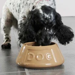 Bol cerámico antivuelco para mascotas Cane Mason Cash