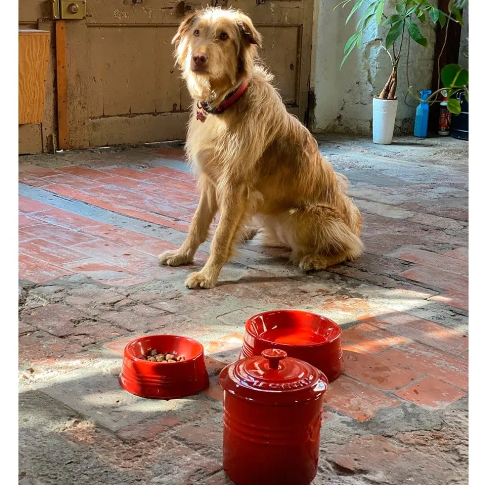 Bol cerámico para mascotas Le Creuset