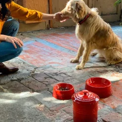 Bol cerámico para mascotas Le Creuset