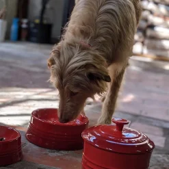 Bol cerámico para mascotas Le Creuset
