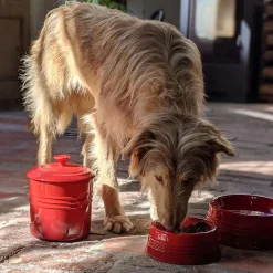 Bol cerámico para mascotas Le Creuset