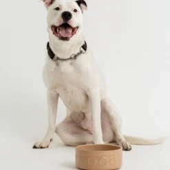Bol cerámico para perros y mascotas Mason Cash