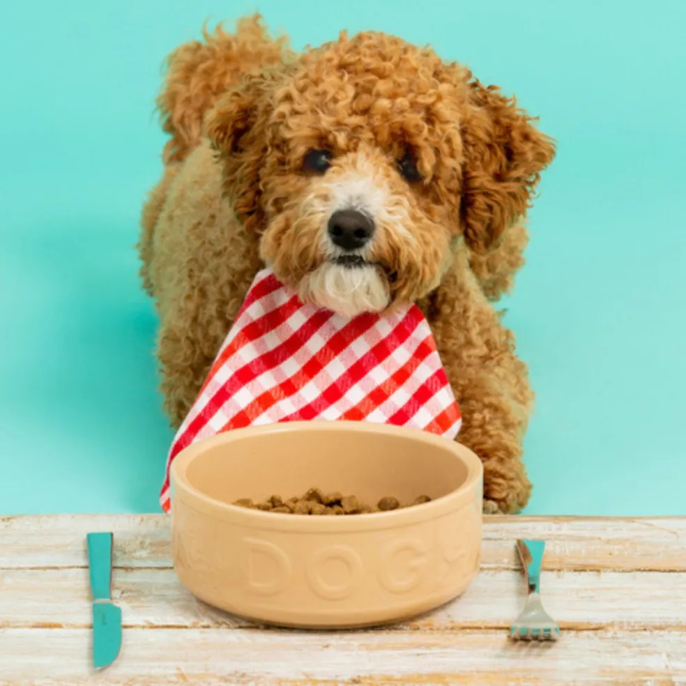 Bol cerámico para perros y mascotas Mason Cash