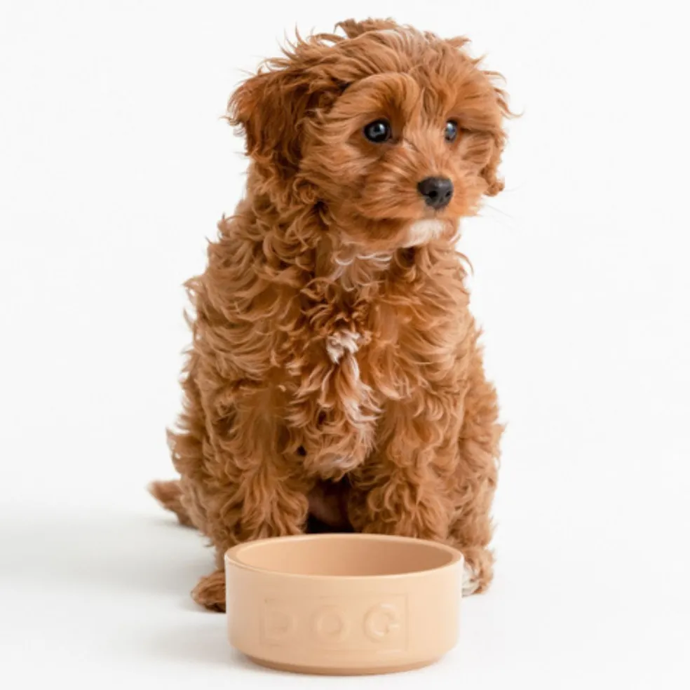 Bol cerámico para perros y mascotas Mason Cash