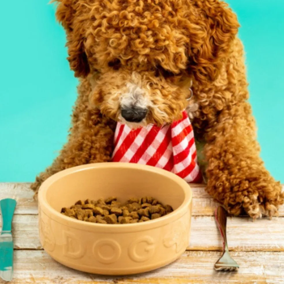 Bol cerámico para perros y mascotas Mason Cash