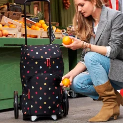 Bolsa y Soporte para Carrito de compra Citycruiser Max Reisenthel