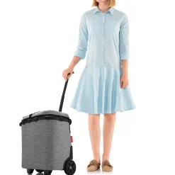 Carrito de compra isotérmico Carrycruiser Reisenthel