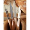 Conjunto cuchillos y pelador Opinel Essentiels