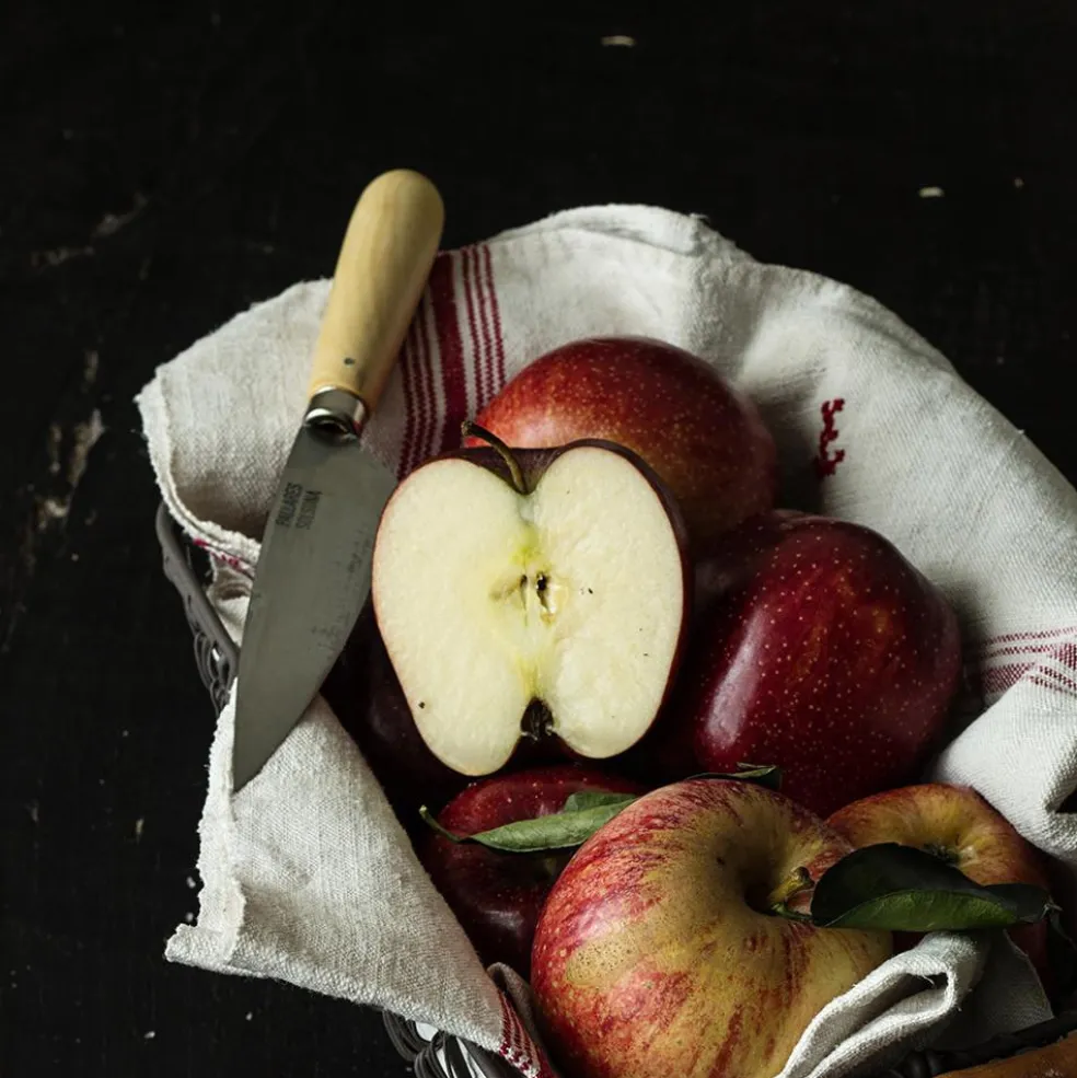 Cuchillo de cocina Pallarès de acero carbono con mango de boj