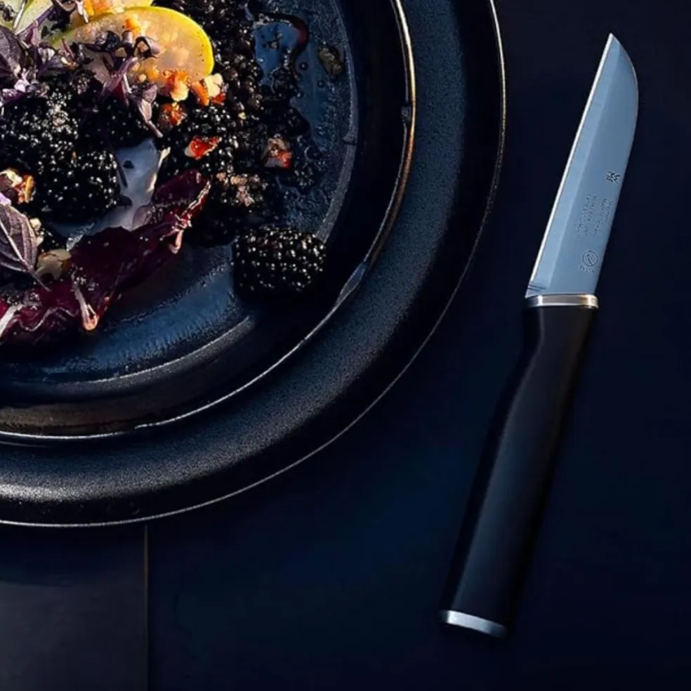 Cuchillos de cocina Kineo WMF