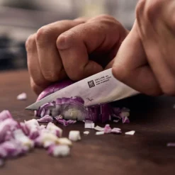 Cuchillos de cocina Pro Zwilling
