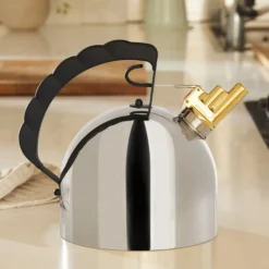 Hervidor 9091 de acero inoxidable Richard Sapper Alessi