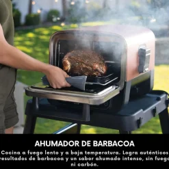 Horno eléctrico exterior de pellet Woodfire Ninja®