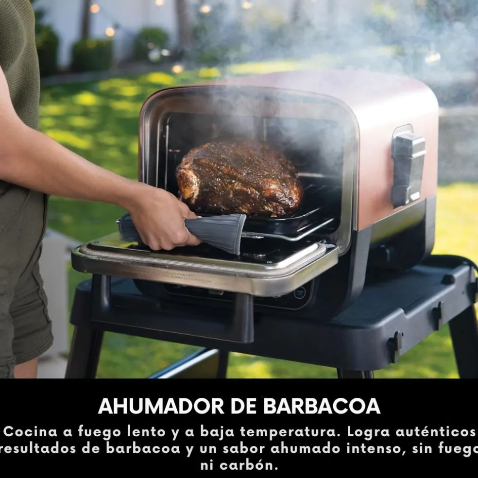 Horno eléctrico exterior de pellet Woodfire Ninja®