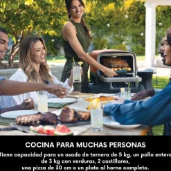 Horno eléctrico exterior de pellet Woodfire Ninja®