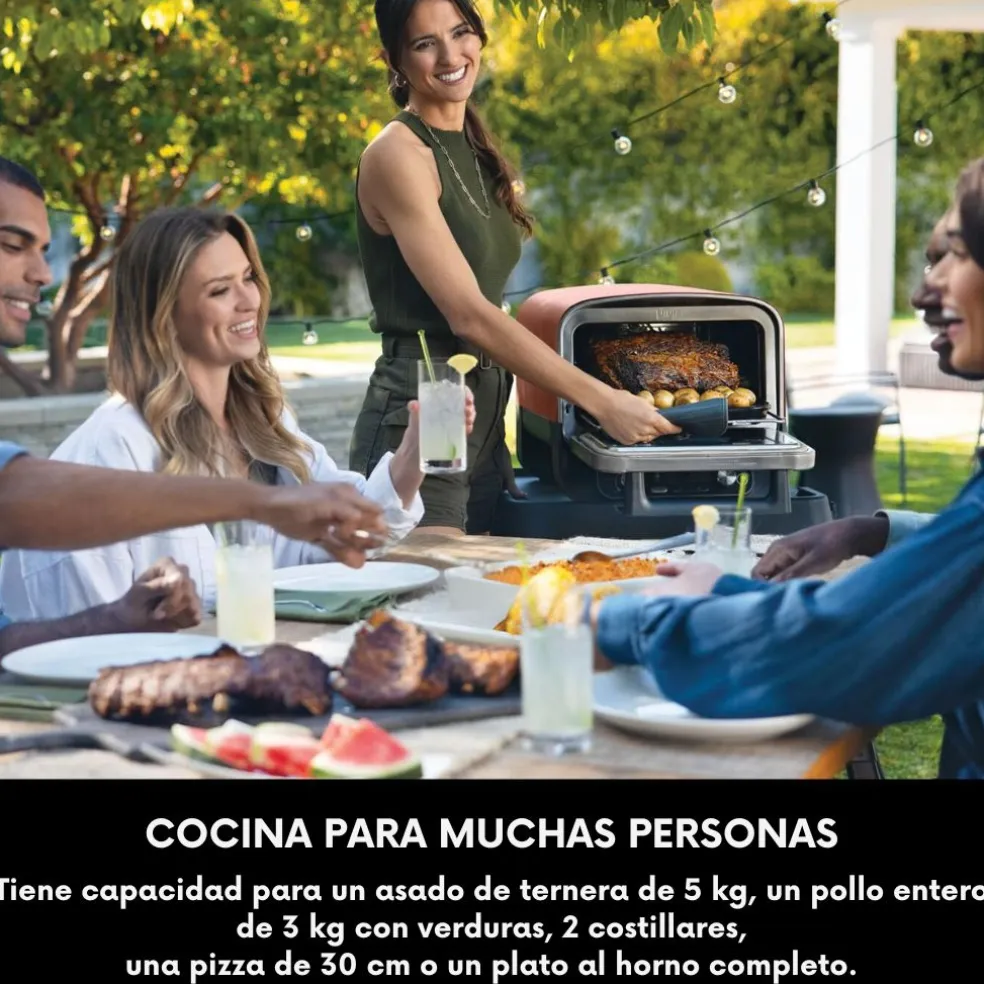 Horno eléctrico exterior de pellet Woodfire Ninja®