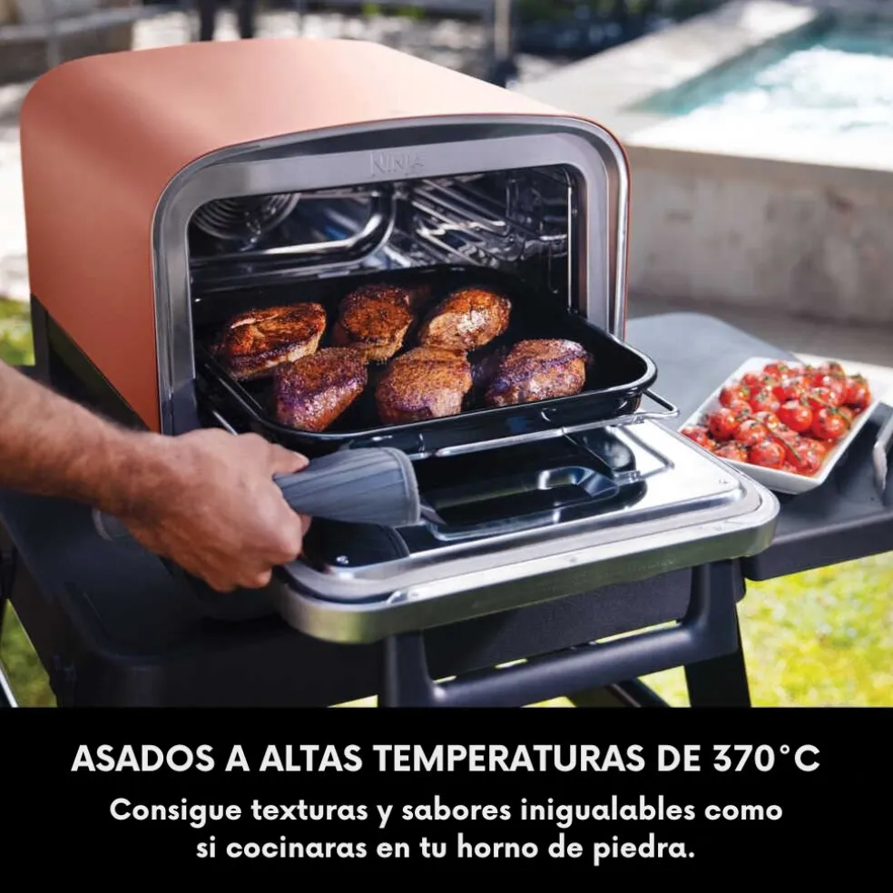 Horno eléctrico exterior de pellet Woodfire Ninja®