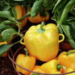 Mini cocotte cerámica hortalizas Staub