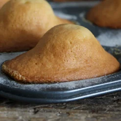 Molde para madeleines De Buyer