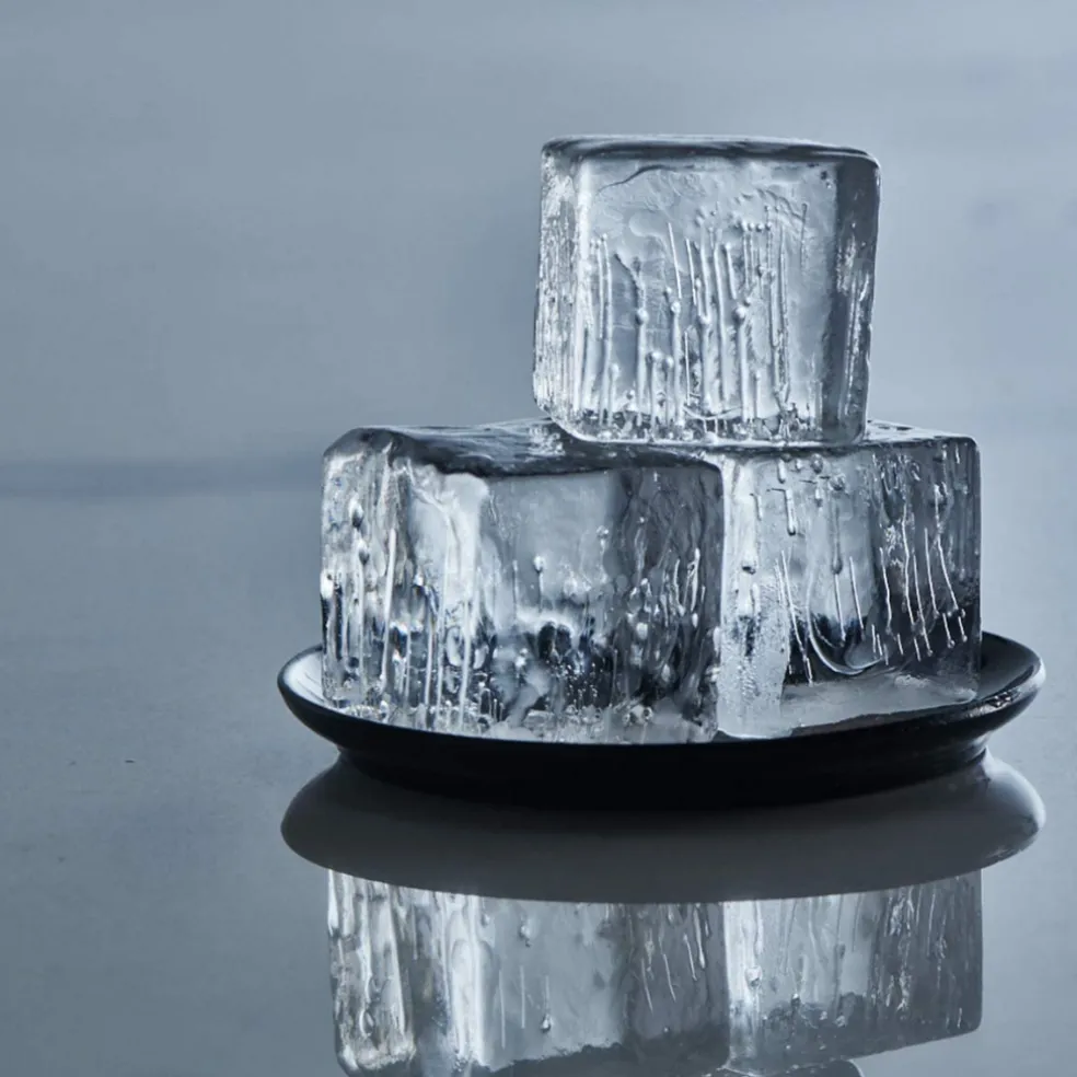 Moldes para cubitos de hielo cuadrados Ice Former de Lurch