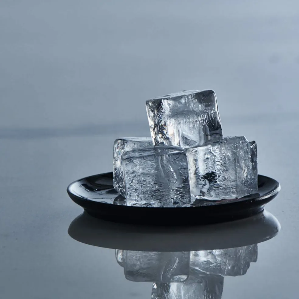 Moldes para cubitos de hielo cuadrados Ice Former de Lurch