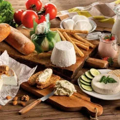 Máquina para hacer queso y yogur Ariete