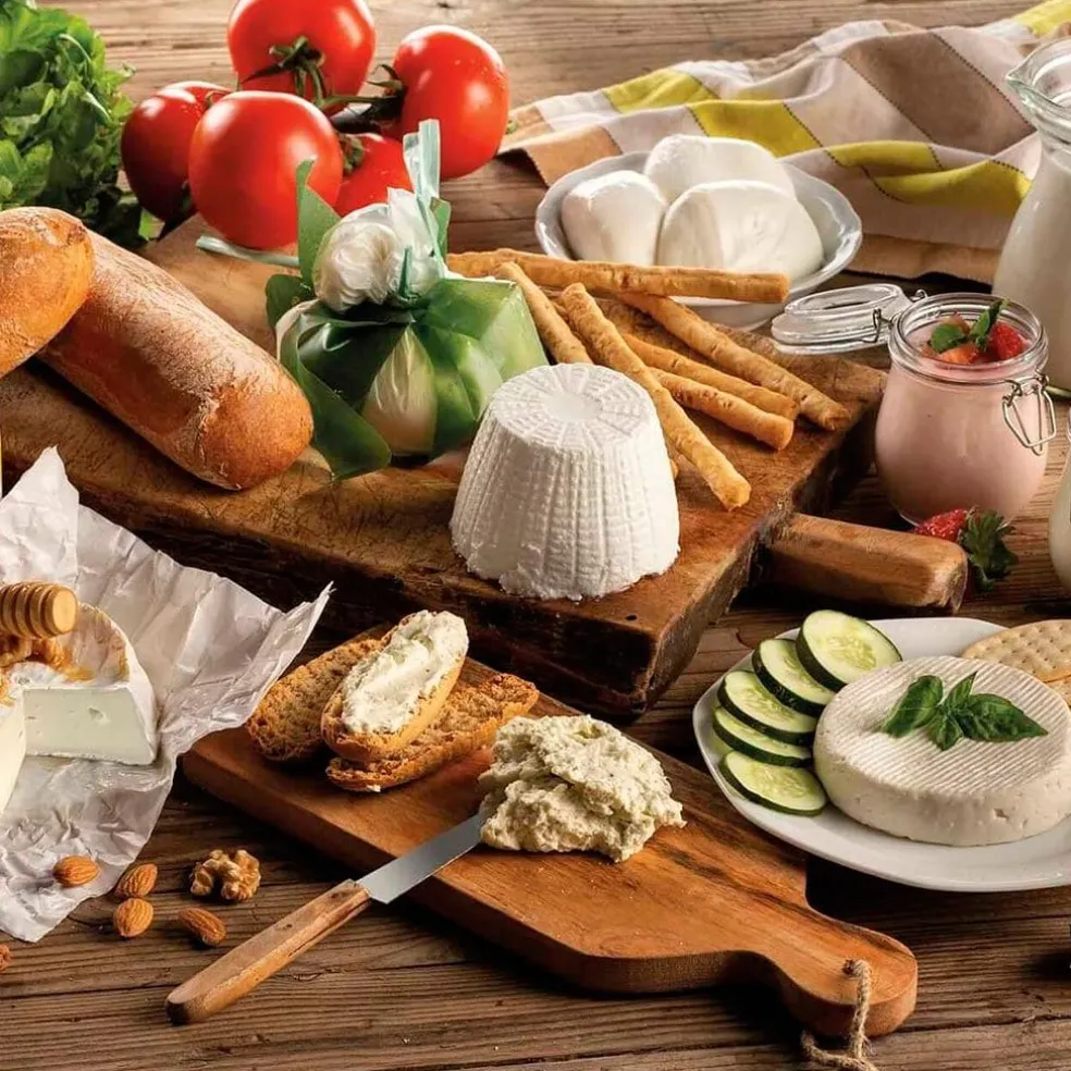 Máquina para hacer queso y yogur Ariete