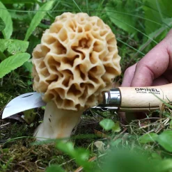 Navaja para setas Opinel Nº8