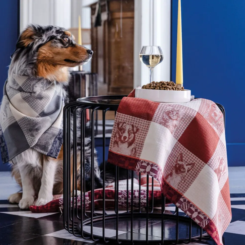 Paño de cocina de algodón Truffes Le Jacquard Français