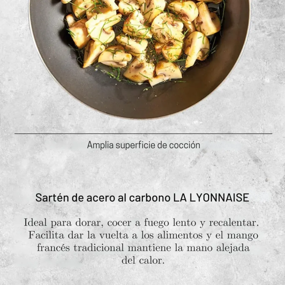 Sartén de hierro Carbone Plus Lionesa De Buyer