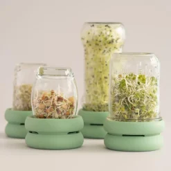 Set de 2 tapas de silicona para germinar semillas Food Huggers