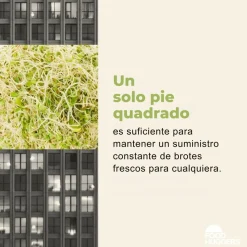 Set de 2 tapas de silicona para germinar semillas Food Huggers