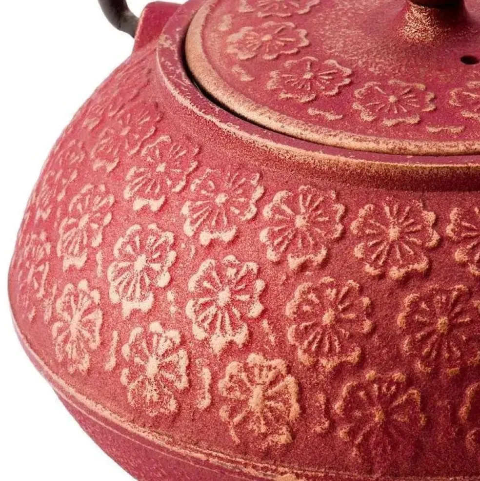 Set de té de hierro fundido con tetera y dos tazas Shanghai Bredemeijer
