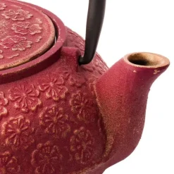 Set de té de hierro fundido con tetera y dos tazas Shanghai Bredemeijer