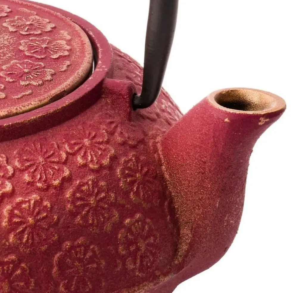 Set de té de hierro fundido con tetera y dos tazas Shanghai Bredemeijer