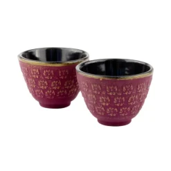 Set de té de hierro fundido con tetera y dos tazas Shanghai Bredemeijer