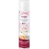 Spray desmoldante 250ml Tellier