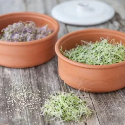 Tarro germinador Germilife
