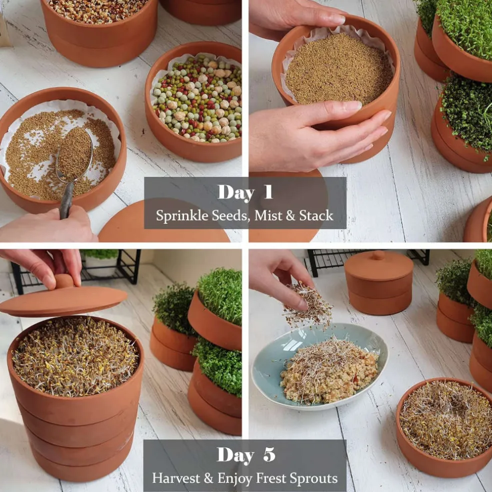 Tarro germinador Germilife