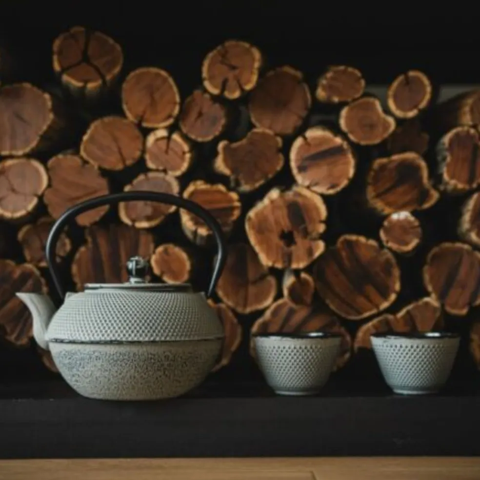 Tetera de hierro fundido Jang Bredemeijer
