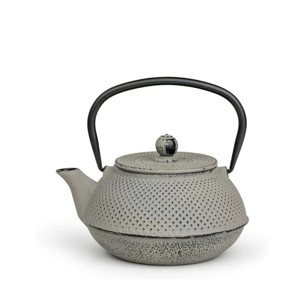 Tetera de hierro fundido Jang Bredemeijer