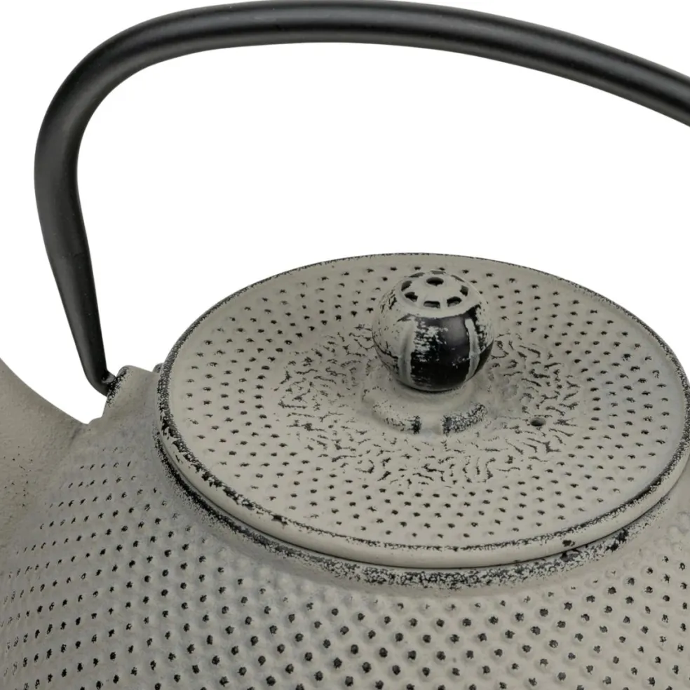 Tetera de hierro fundido Jang Bredemeijer