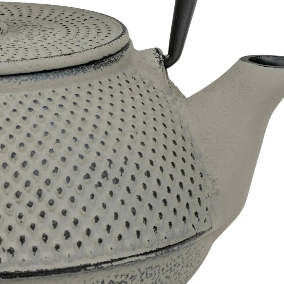 Tetera de hierro fundido Jang Bredemeijer
