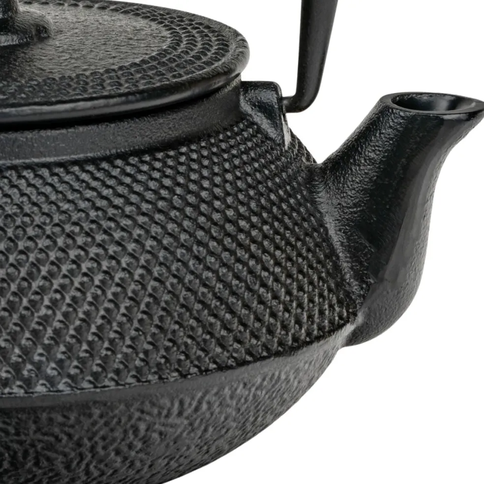Tetera de hierro fundido Jang Bredemeijer