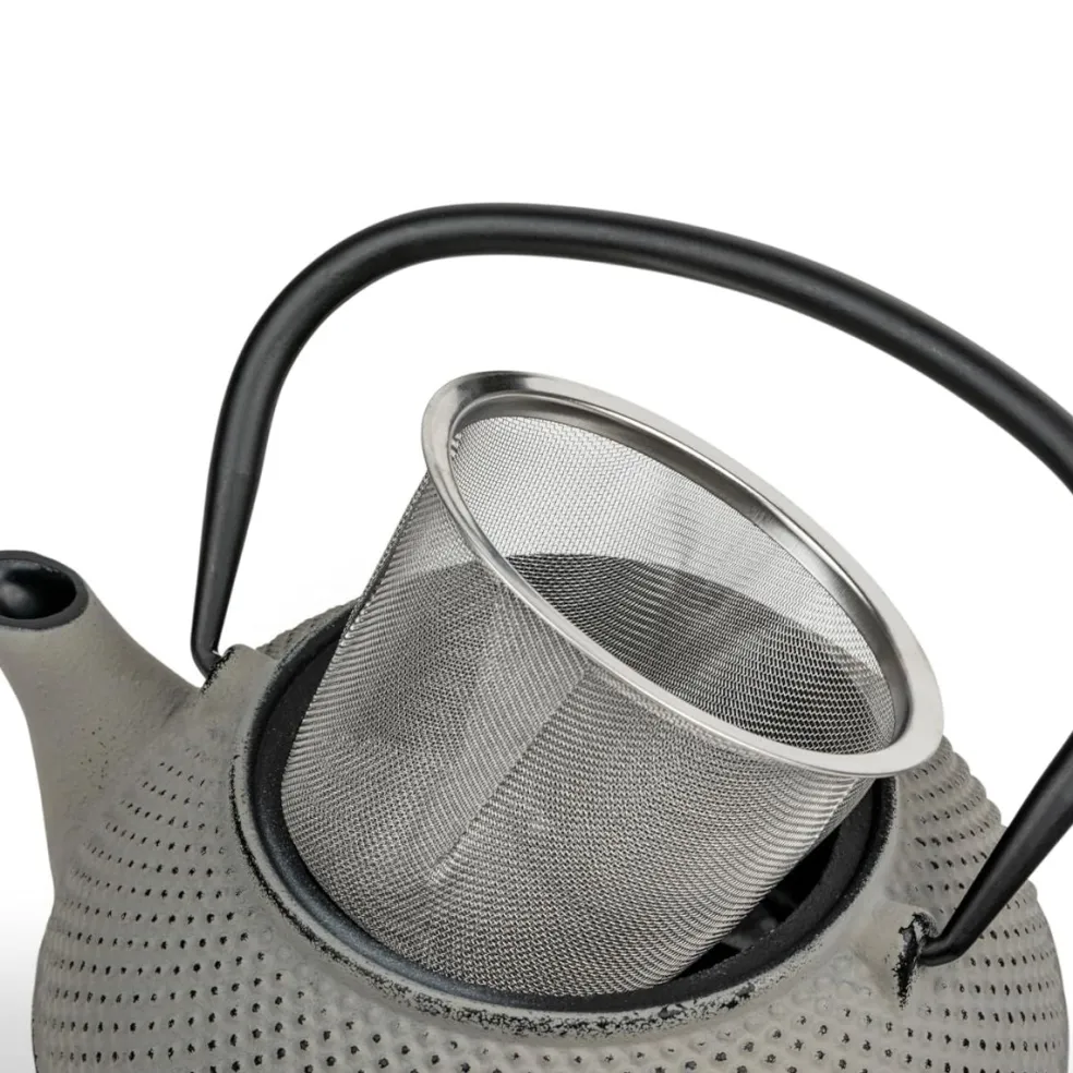 Tetera de hierro fundido Jang Bredemeijer