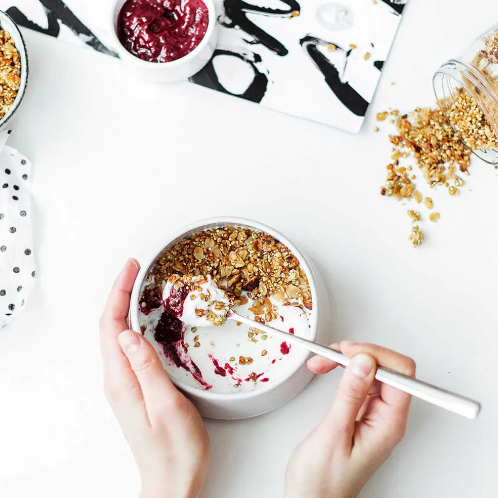 Yogurtera Ariete
